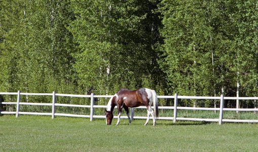 2629 Sun Valley, ID.jpg