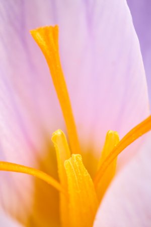 IMG_3750.jpg