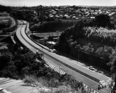 P2250004.JPG