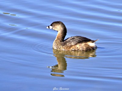 IMG_1412.jpg