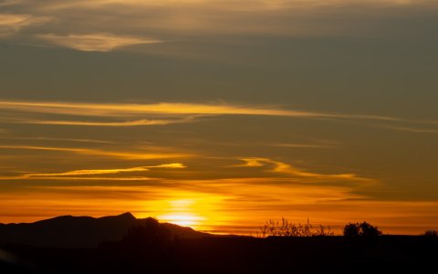 3347 Hereford, AZ.jpg
