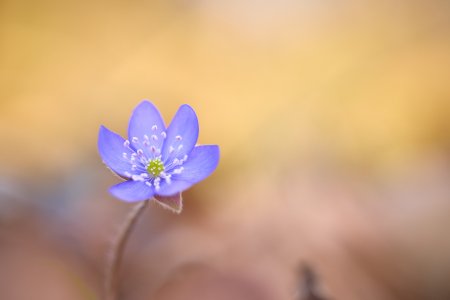 IMG_4316.jpg