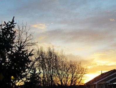 Sunrise030225_SVG002rs.JPG