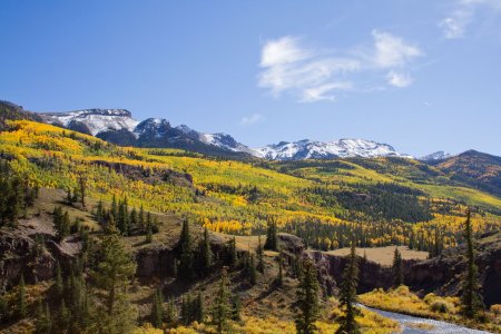 3041 Lake City, CO.jpg