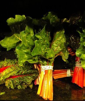 Veggie105.JPG