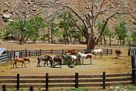 2785 Escalante Canyon, CO.jpg