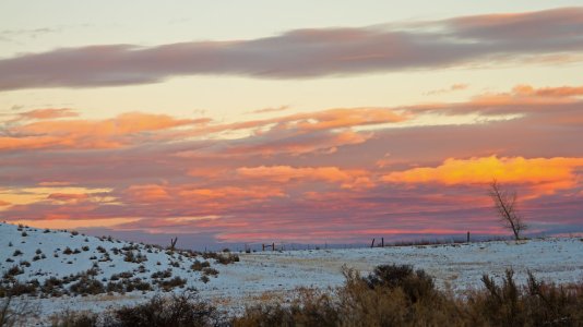 3541 Montrose, CO.jpg