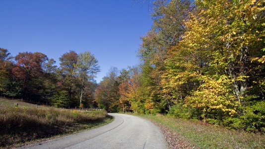 2313 Laurel Fork, WV.jpg