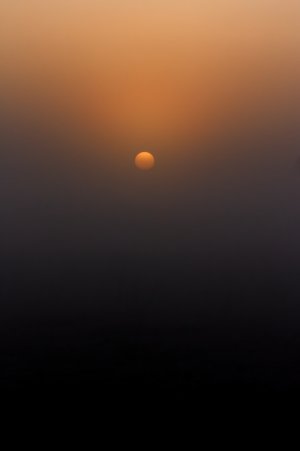 Foggy Sunrise.jpg