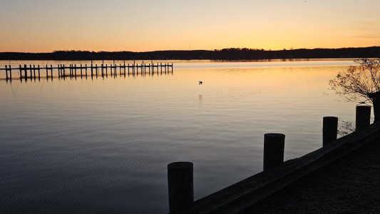 20250309_071306.jpg