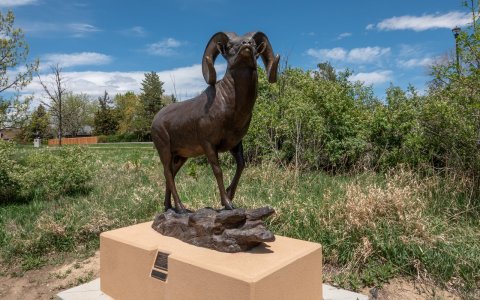 0619 Loveland, CO.jpg