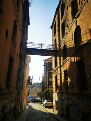 IMG_20250322_081059.jpg