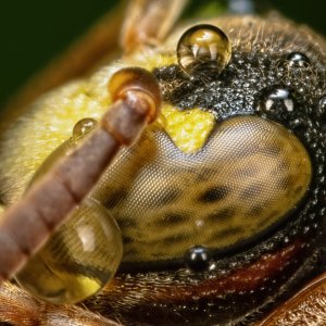 R5 IMGB6987 Crop 1600 FR.jpg