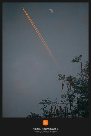 PicsArt_03-31-03.49.28.jpg