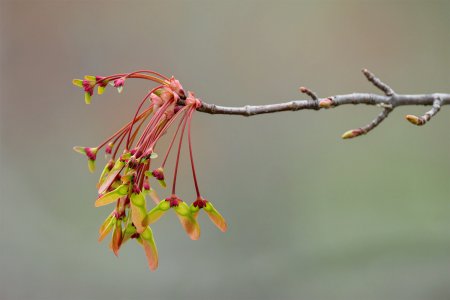 R510_4985.jpg