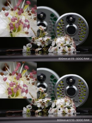 Sharpness-test-800mm---1-of-2.jpg