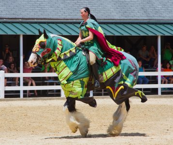 0874 Kentucky Horse Park, KY.jpg