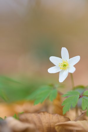 IMG_6287.jpg