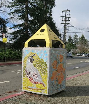 quailcan3.4.24.jpg