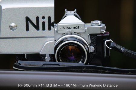 R5105015.jpg