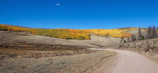 1455 Powderhorn Wilderness, CO.jpg