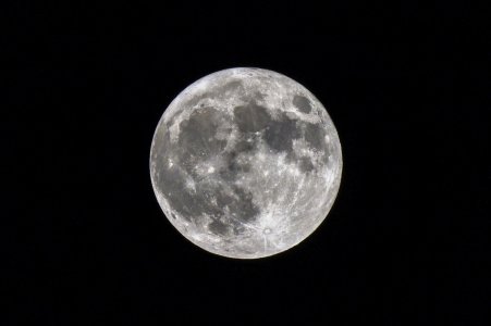 IMG_9184 N.jpg