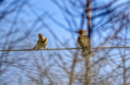 IMG_9202-TAu.jpg