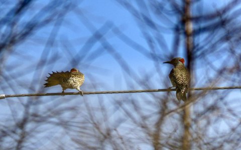 IMG_9201-TAu.jpg