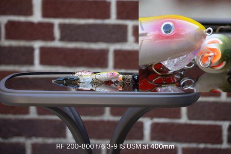 R5105054.jpg