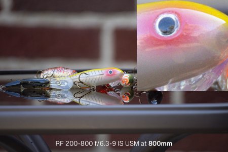 R5105052.jpg
