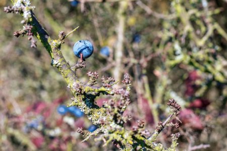 Beauties of autumn nature_2.jpg