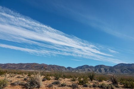 0939 Anza-Borrego S P, CA.jpg