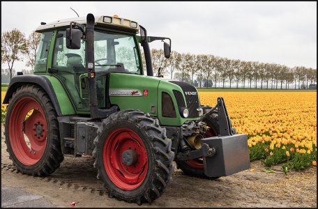 Tractor in Tulip Field.jpg