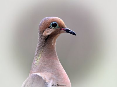 IMG_2465.JPG