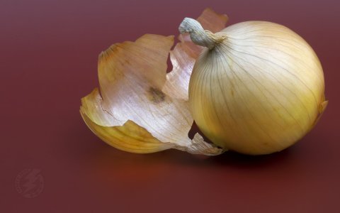 yellow onion IMG_3496.jpg