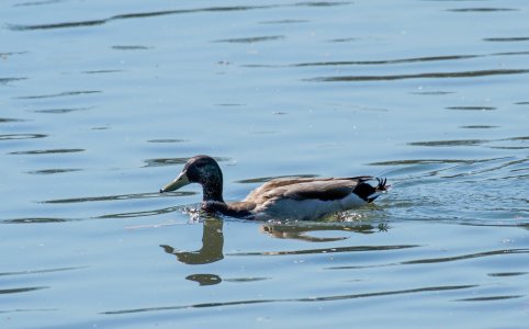 _DSC5278.jpg