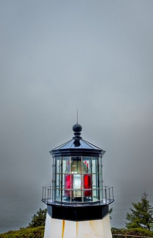 LE_08-2949.jpg