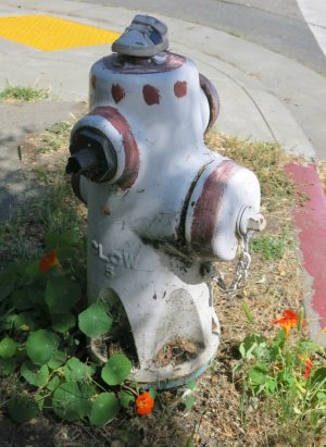 shoehydrant6.1.24.jpg