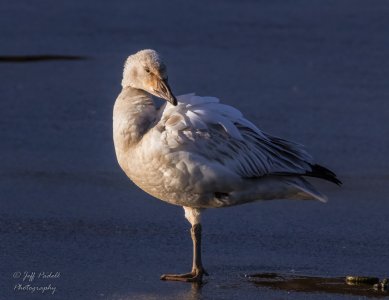 5R0A9881-400-1.jpg