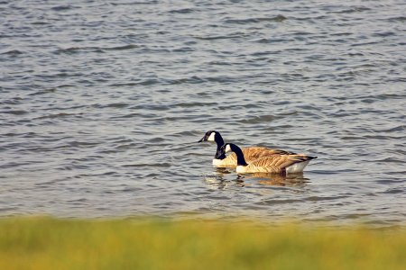 IMG_8221.JPG