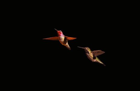 IMG_2785.jpeg