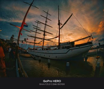 PicsArt_05-08-09.34.33.jpg