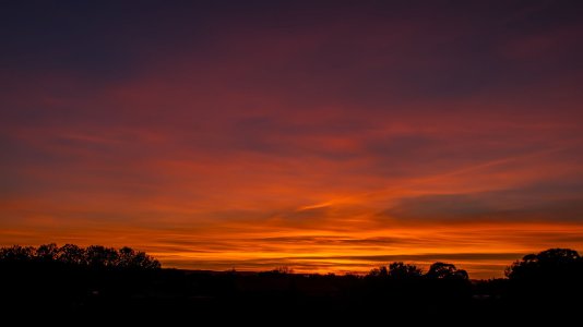 0098 Montrose, 5-3.jpg