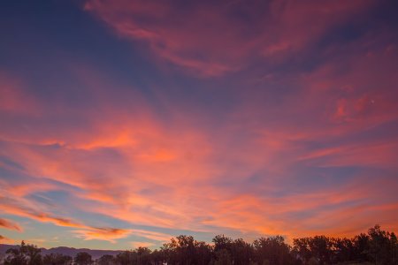 0257 Montrose, 6-20.jpg