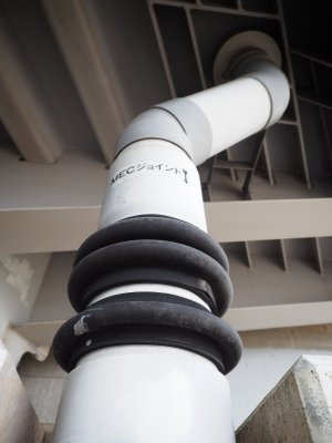 P5280002_1.JPG