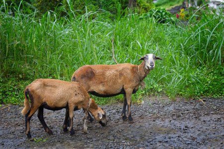 IMG_0841 (Large).jpg