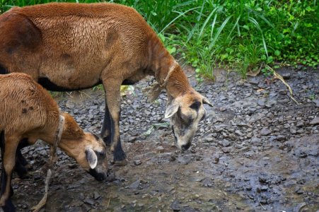 IMG_0859 (Large).jpg