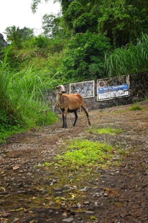 IMG_0891 (Large).jpg