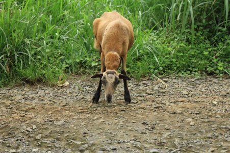 IMG_0814 (Large).JPG