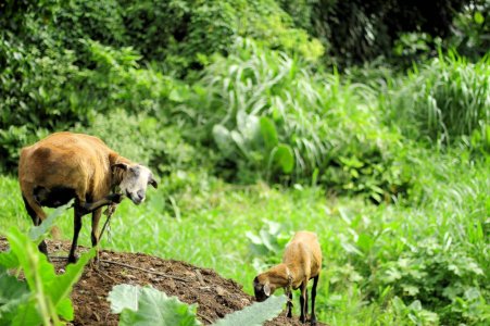 IMG_0922 (Large).JPG